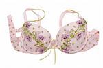 Rose bra with green embroidery on white background