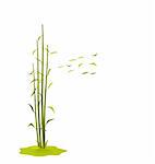 The illustration a wind breaks bamboo leaves, isolated on a white background - vector