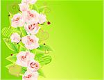 Horizontal spring background with roses and leaves