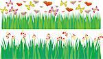 Isolated Green Grass with butterflies and flowers