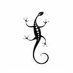 Lizard black silhouette for your design