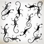 Lizard black silhouette, collection for your design