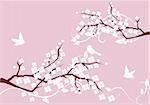 vector illustration of blossom branches with white flowers and birds