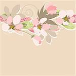 Pink floral background with flowers and plants