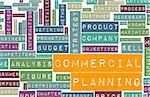 Commercial Planning in a Business Company Concept