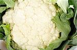 Fresh cauliflower vegetable the abstract background