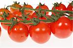 red tomatoes,, photo on the white background