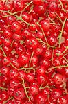 group red currant - the abstract food background