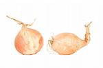 front view of two brown onions on white background