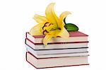 front view of pile of books and yellow lily flower