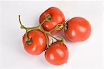 fresh red tomatoes branch, ready for salad