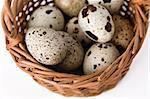 quail eggs in a basket, top view