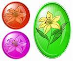 Icons, set buttons: flowers lily, vector eps10