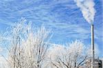 Winter scene with frosted tree branches and industrial smokestack