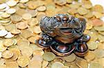 Close up of feng shui frog and coins.