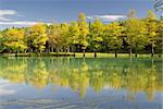 Landscape of trees with reflection on lake under blue sky.