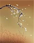 Wind blowing white plum blossom tree. Vectorized brush painting.