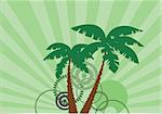 vector illustration of green palms with sunburst background