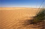 Oranhe sahara desert in Mauritania