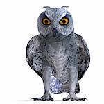 Scops Owl Bird. 3D rendering with clipping path and shadow over white