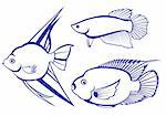 Tropical Fish. Set #3. Vector illustration on white background for design
