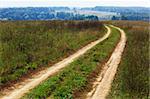 country road leading across the field to the distant forest