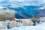 October mountain beech forest edge with first winter snow and last autumn colourful foliage on far mountainside