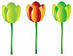 3 shiny isolated tulip, beautiful flowers, floral design element, background
