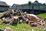 Stack firewood in traditional farm in the state of Parana, southern Brazil.