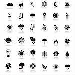 set of 24  black nature icons