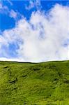 Green meadow and blue sky with clouds