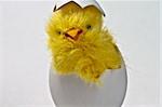 Newly hatched toy easter chicken in its eggshell, isolated on white