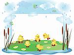 Summer frame,ducklings