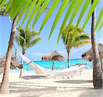 Caribbean beach hammock and palm trees in Mayan Riviera Mexico