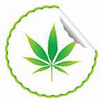 cannabis leaf label against white background, abstract vector art illustration