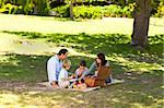 Smiling family picnicking in the park