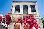 Facade of a mediterranean House with blooming Tree