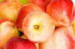 Healthy eating concept - close up of nectarines