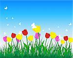 Meadow background with tulips. All objects are separated. Vector illustration.