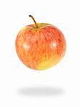 An apple isolated against a white background