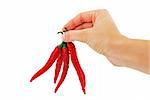 red chili peppers in hand on a white background