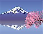 branches of cherry blossoms against the backdrop of Mount Fuji