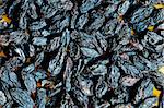 Background made of dark dried raisins