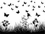 Background with silhouettes of butterflies, flowers and grass, vector illustration