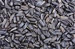 Sunflower seeds for backgrounds or textures