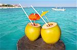 coconut cocktails in caribbean on wood pier turquoise sea