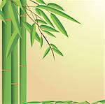 green small bamboo plant background