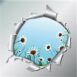 Floral background camomile flower in metallic hole. Vector illustration. EPS10