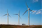 Beautiful meadow with Wind turbines generating electricity.