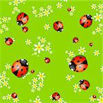 Vector spring background with small flowers and ladybugs